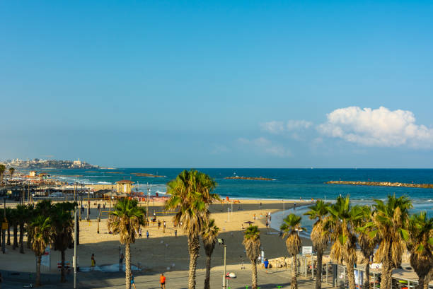 istock Coastline view of Tel-Aviv 1165496761