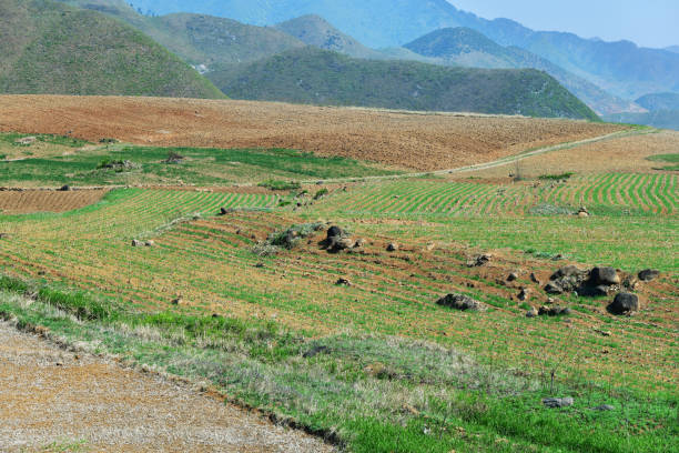 North Korea landscape. Mountains and plowed agriculture fields in foreground