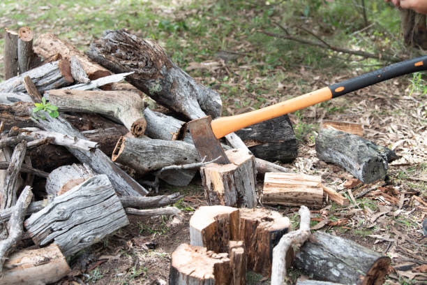 istock axe in tree stump with wood pile 1165504109