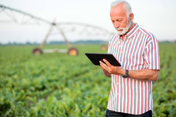 istock Serious gray haired senior agronomist or farmer using a tablet in soybean field 1165505005