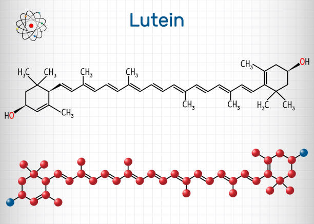 ilustrações, clipart, desenhos animados e ícones de luteína, molécula de xantofilo. é tipo de carotenóide. fórmula química estrutural e modelo da molécula. folha de papel em uma gaiola - zeaxanthin