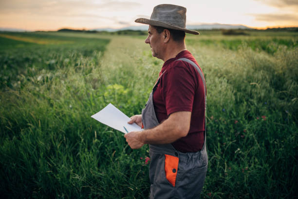 istock Senior farmer standing in filed 1165507294