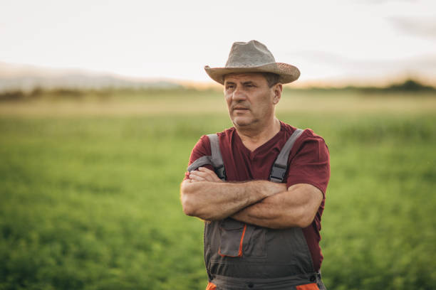 istock The farmer is watching the crop grow 1165507947