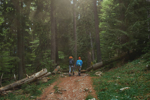 istock Two red-haired women walking through the forest 1165508477