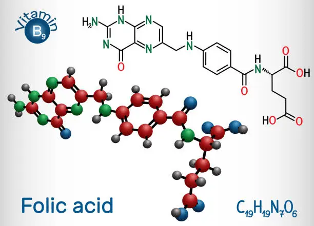 Vector illustration of Folic acid, folate molecule. It is known as vitamin B9. Structural chemical formula and molecule model