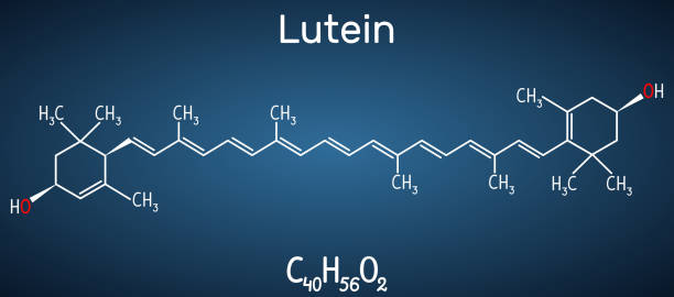 ilustrações, clipart, desenhos animados e ícones de luteína, molécula de xantofilo. é tipo de carotenóide. fórmula química estrutural na obscuridade-fundo azul - zeaxanthin