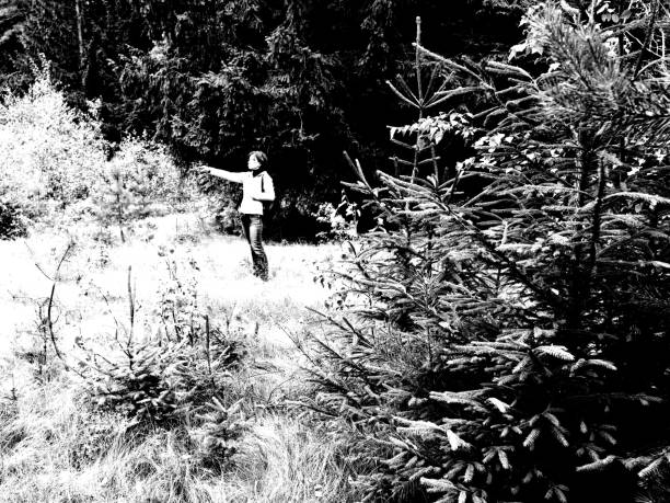 A mature woman is pointing the way in the pine forest