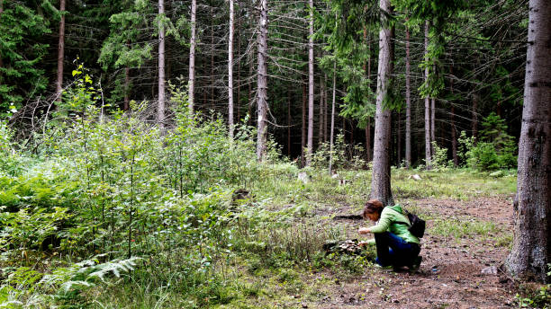 istock A woman in the forest 1165511145