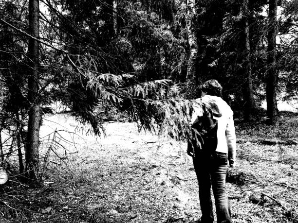 A mature woman is walking and seeking edible mushrooms in the pine forest