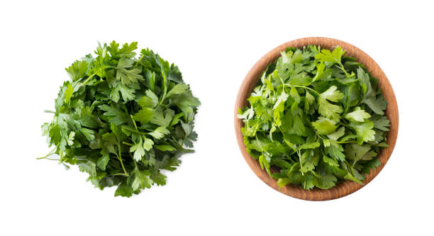 istock Parsley isolated on white background. Top view. Parsley leaves with copy space for text. Herbs isolated on white. Parsley leaves on white background. 1165513715