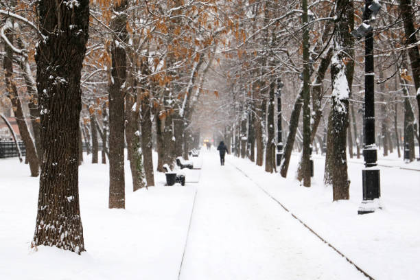 istock Snowfall in city park, blizzard and cold weather concept 1165517131