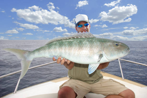istock Deep sea fishing, catch of fish 1165518484