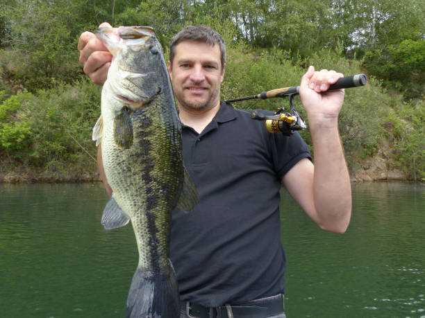 istock bass fishing 1165518523