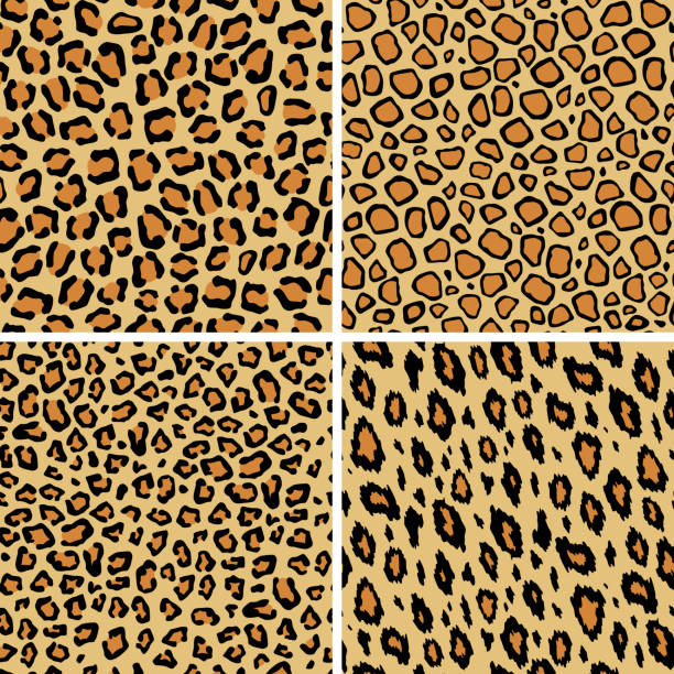 istock Set of leopard skin seamless pattern. Wild cat texture repeat. Abstract animal fur wallpaper. Contemporary backdrop. Concept trendy fabric textile design 1165518697