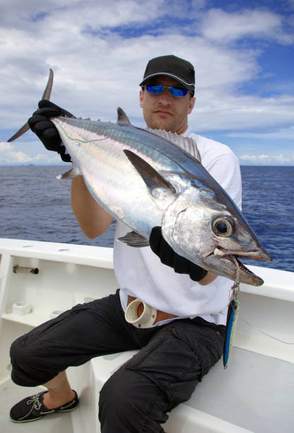 pesca d'altura, pesca del pesce, tonno - pesca daltura foto e immagini stock