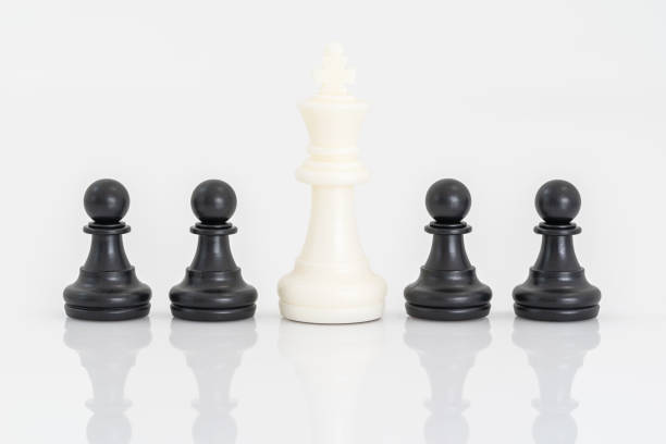 istock Black and white chess pieces on white background 1165521213