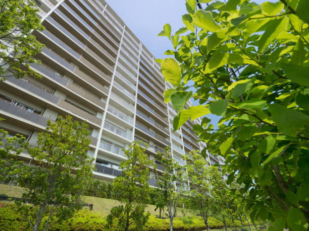 istock Fresh green and large apartment 1165521946