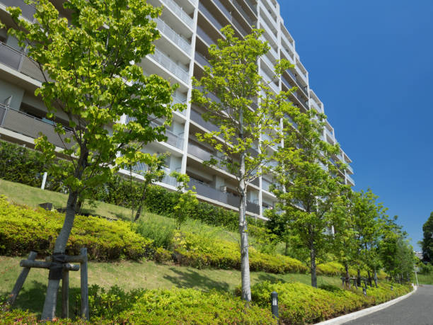 istock Fresh green and large apartment 1165522085