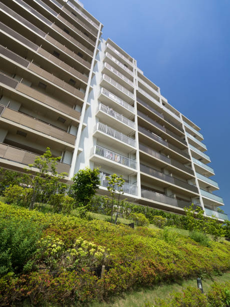 istock Fresh green and large apartment 1165522175