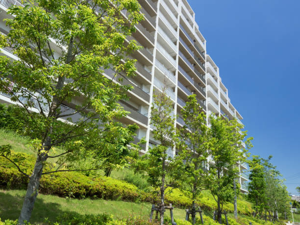 istock Fresh green and large apartment 1165522887