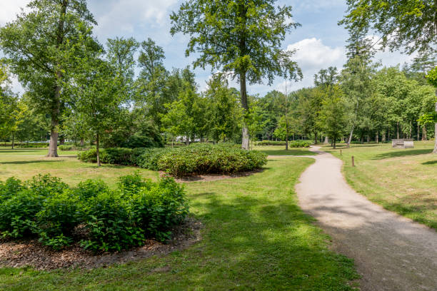 istock green english garden with trees and grass 1165525103