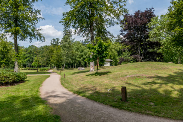 istock green english garden with trees and grass 1165525104