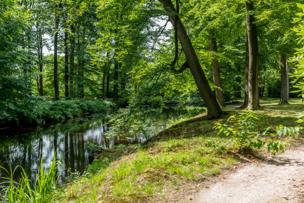 istock green english garden with trees and grass 1165525106