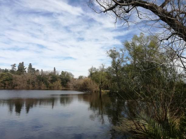 istock lake landscape in winter 1165527691