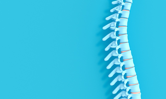 Imagen de renderización 3d de una columna vertebral sobre un fondo azul. photo