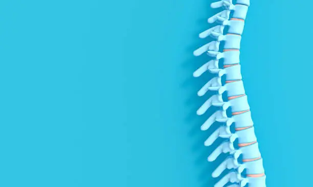 Photo of 3d render image of a spine on a blue background.