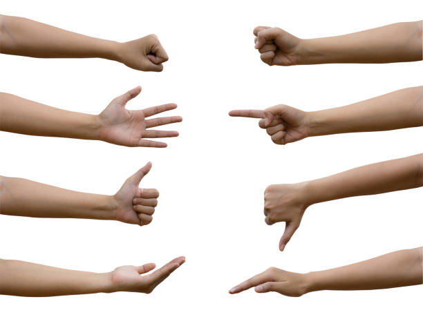 istock A multiple Asian female hand gesture isolated on white background. Included clipping path. Side view of female hand. 1165527973