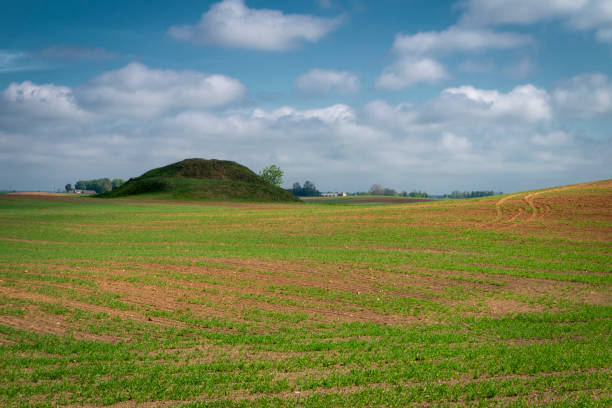 istock Agricultural landscape with rolling hills 1165529657