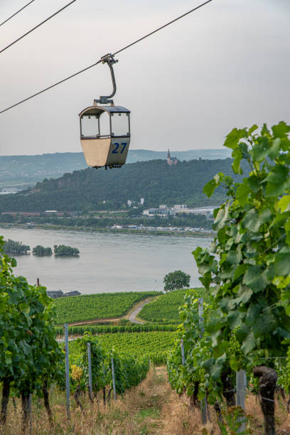 istock Funicular in Rudesheim am Rhein, Germany 1165536694