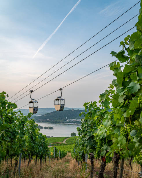 istock Funicular in Rudesheim am Rhein, Germany 1165536742