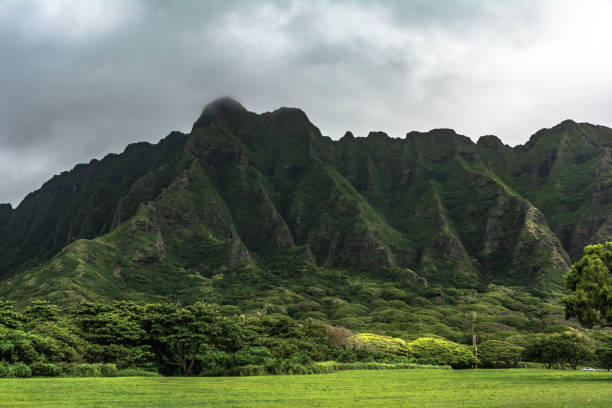 istock Kualoa Ridge Mountain, Oahu, Hawaii 1165539879