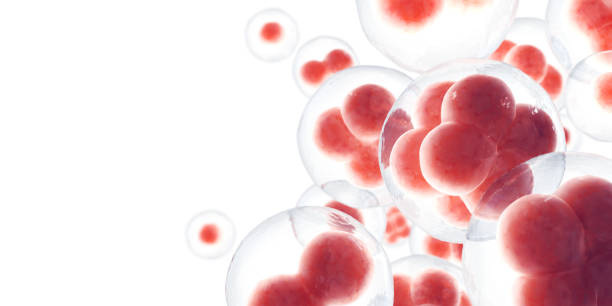 cellule - blood cell foto e immagini stock