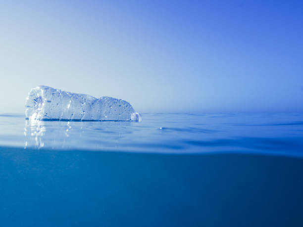 istock plastic bottle floating on the surface of the sea 1165548680