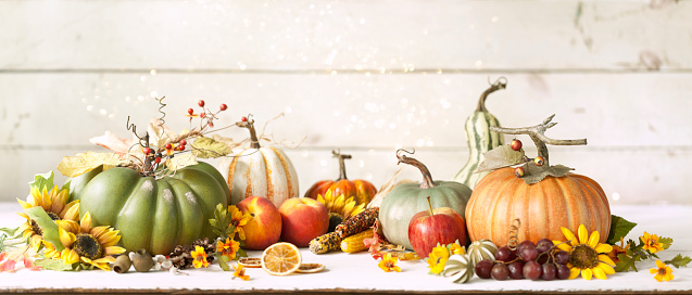 Autumn pumpkins, gourds and holiday decor arranged against an old white wood background. Very shallow depth of field for effect with plenty of copy