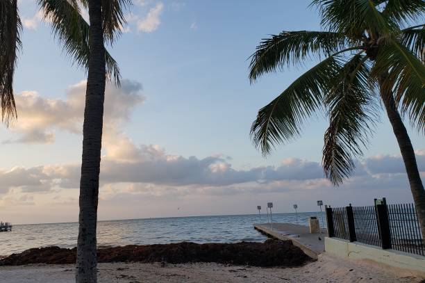 istock Key West Pier at Sun Rise 1165551970