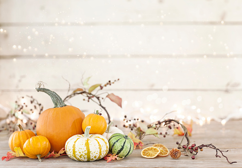 Autumn pumpkins, gourds and holiday decor arranged against an old white wood background with glowing and sparkly Christmas lights. Very shallow depth of field for effect.