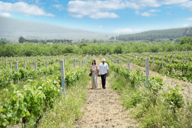 istock Couple in the Vineyard 1165554806