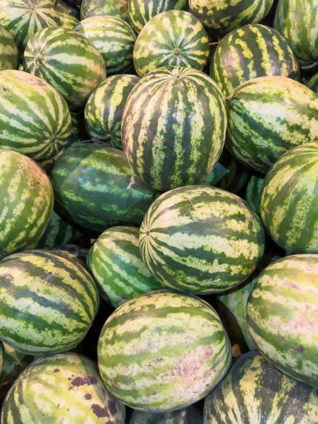 istock Fresh watermelon background in the fruit market. 1165556191