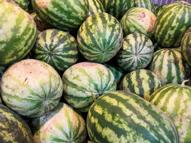 istock Fresh watermelon background in the fruit market. 1165556192