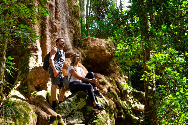 para zwiedzająca w bujnym parku narodowym lamington, queensland - rainforest forest river australia zdjęcia i obrazy z banku zdjęć
