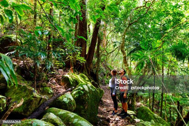 Couple Exploring In The Lush Lamington National Park Queensland Stock Photo - Download Image Now