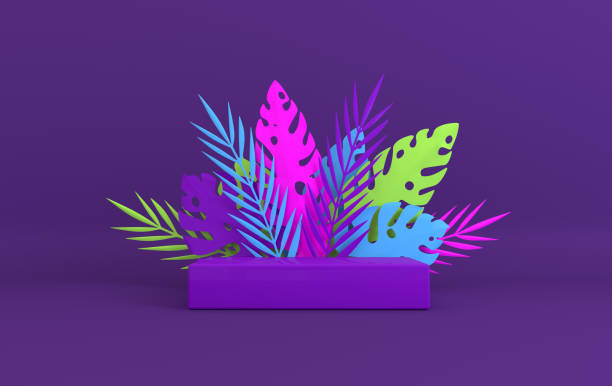 Tropical paper palm, monstera leaves frame, podium platform for product presentation. Summer tropical leaf. Origami exotic hawaiian jungle, summertime background. Paper cut 3d render Tropical paper palm, monstera leaves frame, podium platform for product presentation. Summer tropical leaf. Origami exotic hawaiian jungle, summertime background. Paper cut 3d render 1528 stock pictures, royalty-free photos & images