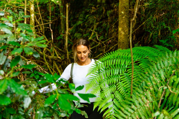 mulher que explora na floresta húmida tropical no hinterland da costa do ouro de queensland - 3409 - fotografias e filmes do acervo