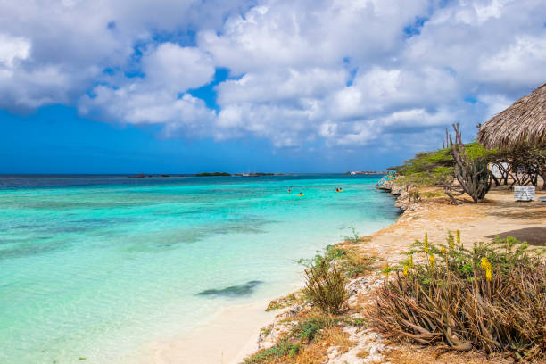 istock Aruba, Mangel Halto beach 1165558117