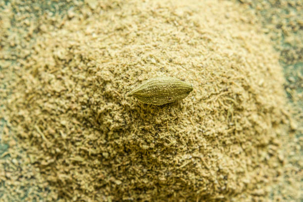 cardamom pods and cardamom powder, close-up - cardamom imagens e fotografias de stock