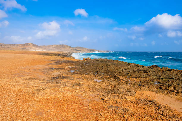 istock Aruba, north-east coast 1165559908